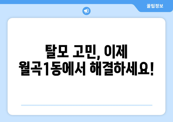 서울 성북구 월곡1동 모발이식 추천 병원 & 비용 가이드 | 모발 이식, 탈모 치료, 서울, 성북구