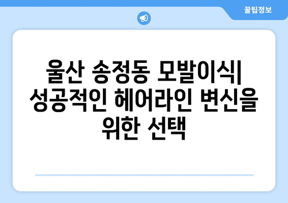 울산 북구 송정동 모발이식| 성공적인 헤어라인 변신을 위한 선택 | 모발이식, 탈모, 헤어라인, 울산, 송정동