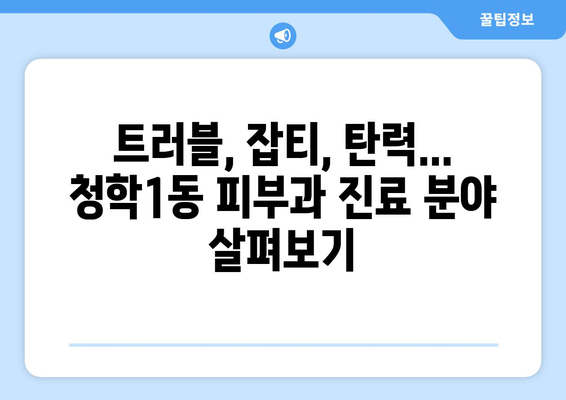 부산 영도구 청학1동 피부과 추천| 내 피부에 딱 맞는 곳 찾기 | 피부과, 추천, 영도구, 청학1동, 진료