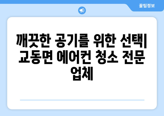 인천 강화군 교동면 에어컨 청소 전문 업체 추천 | 에어컨 세척, 냉난방, 친환경 솔루션